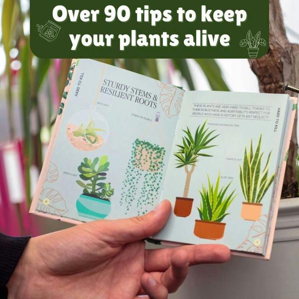 Houseplant Survival Gift Set - close-up detail