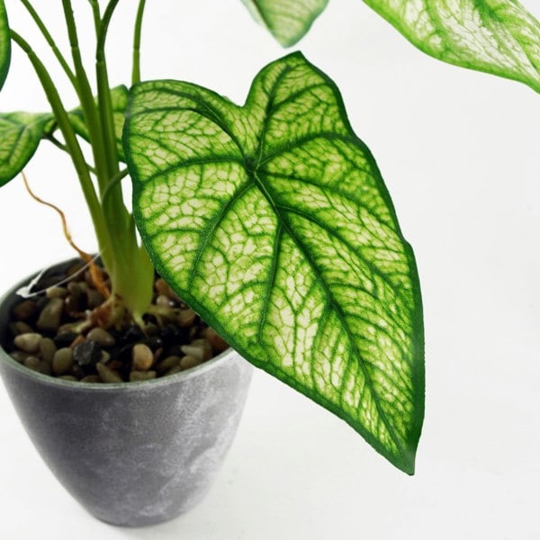 Leaf 40cm Artificial Taro in Decorative Planter