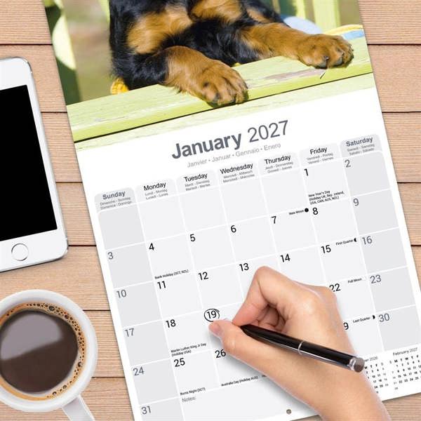 Gordon Setter Calendar 2027, Wall Calendars, Month To View, Dogs, Gift