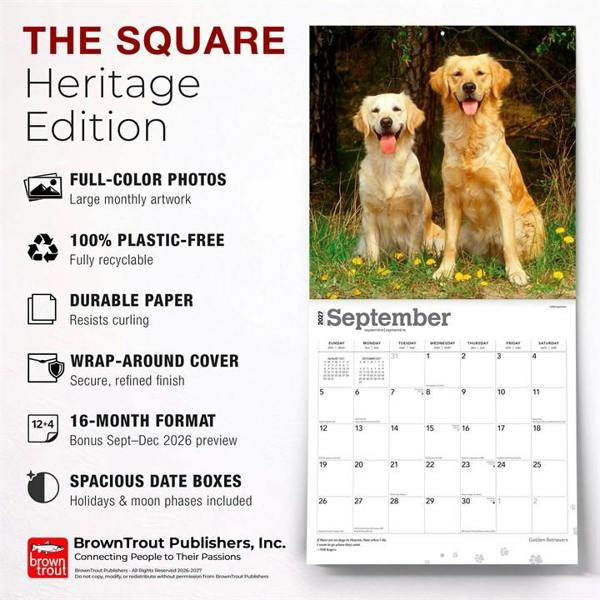 Golden Retrievers Calendar 2027, Wall Calendars, Month To View, Dogs, Gift