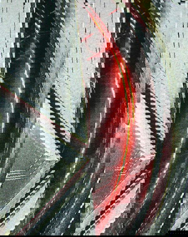 Marvel Mens Black Avengers Logo Short Sleeved T-Shirt