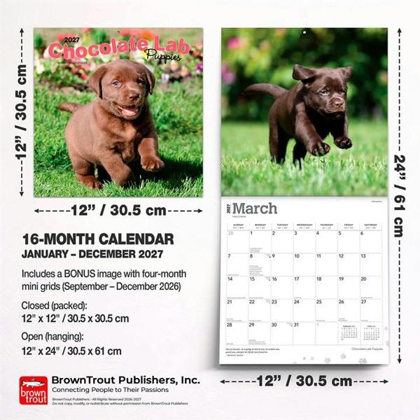 Chocolate Lab Puppies Calendar 2027, Wall Calendars, Month To View, Dogs, Gift