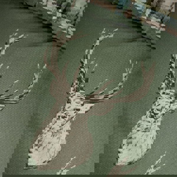 Catherine Lansfield Stag Check Reversible Duvet Cover Set Soft Green