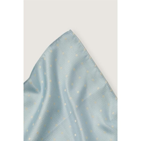 Antique Rogue Polka Dot Pocket Square