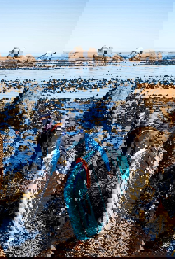 Aquaplanet CUDA Expedition 14' Inflatable Paddle Board Package