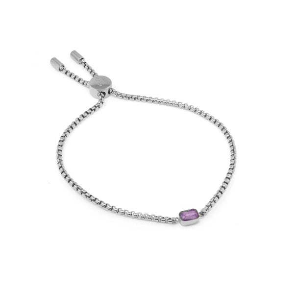 Say It With Children's February Amethyst Birthstone Bracelet - Silver
