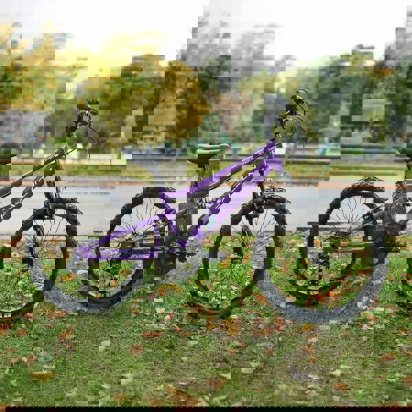 Falcon Moonstone 20" Kids Mountain Bike