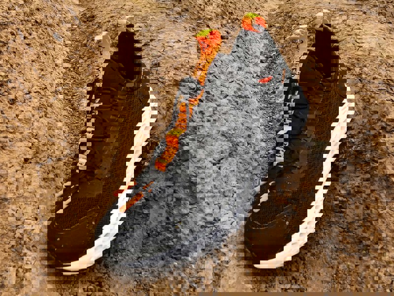 Typhoon TS10 Sneaker/Deck Trainers - Black/Solar