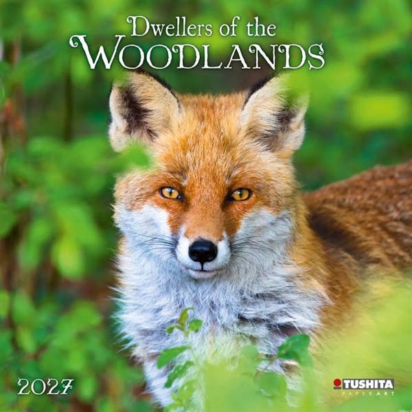 Dwellers Of The Woodlands Calendar 2027, Wall Calendars, Month To View, Animals, Gift