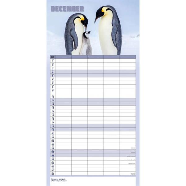 The Busy Life Family Planner 2027, Family Planners, Month To View, Animals, Gift