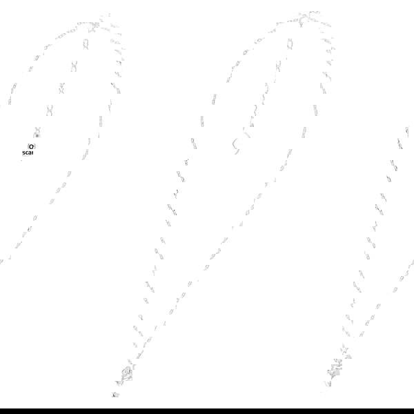 Mylee London Chicken Silver Necklace - Personalised