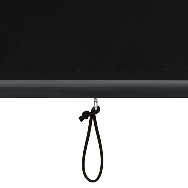 Berkfield Outdoor Roller Blind 160x250 cm Anthracite