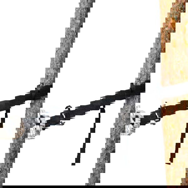Amazonas T-Straps