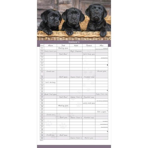 Black Labs Family Organiser 2027, Family Planners, Month To View, Dogs, Gift