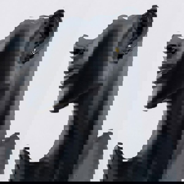 T. H. Baker Silver Gold Plated 4mm Ball Stud Earrings S4003