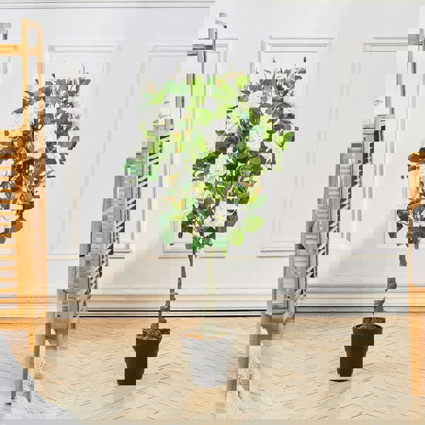 Artificial Rose Flower Tree in Pot Artificial Plants Living and Home Green/White: 80cm H