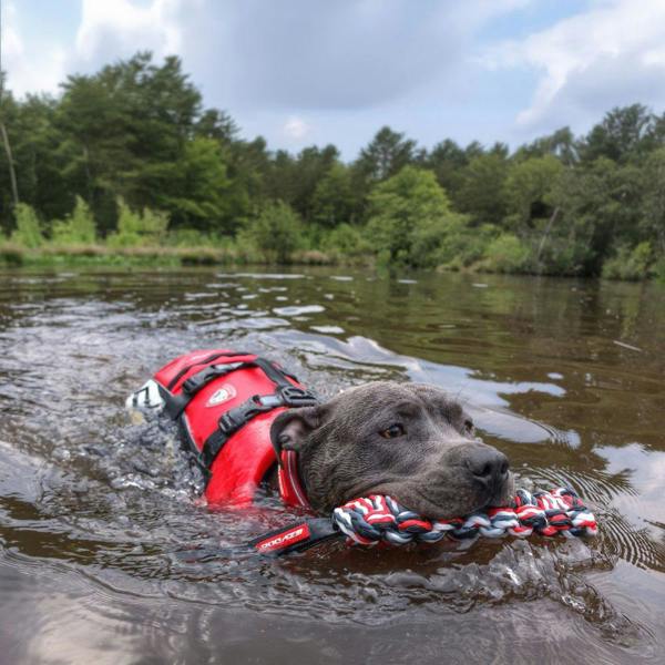 EzyDog Beaver Tail Floating Dog Toy