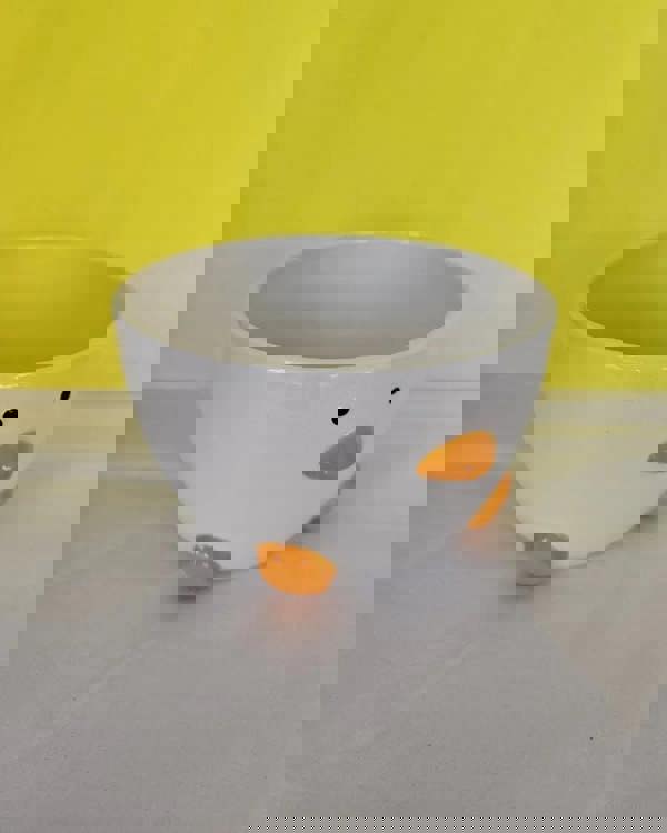 Quackers & Oats – Duck Cereal & Soup Bowl