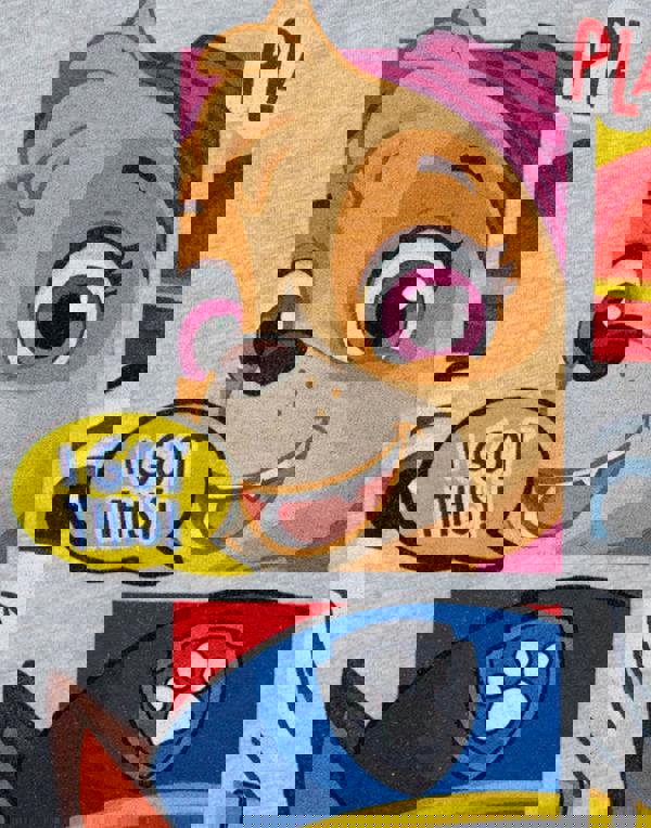 Paw Patrol Boys Grey Peekaboo Short Sleeved T-Shirt