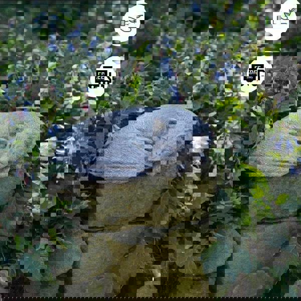 Stone Cast Sleeping Cat Ornament