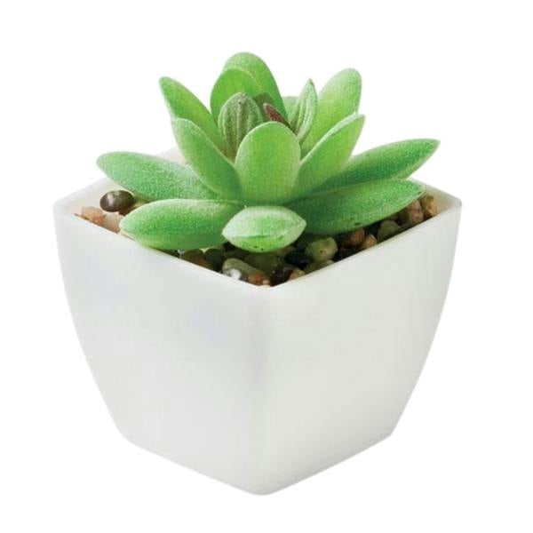 MidOcean Artigrap Graptopetalum Paraguayense Artificial Plant - White - 