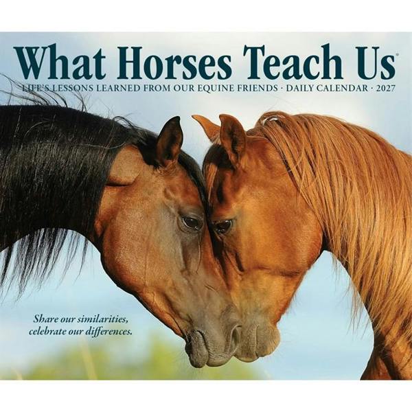 What Horses Teach Us Desk Calendar 2027, Desk Calendars, Day To View, Animals, Gift