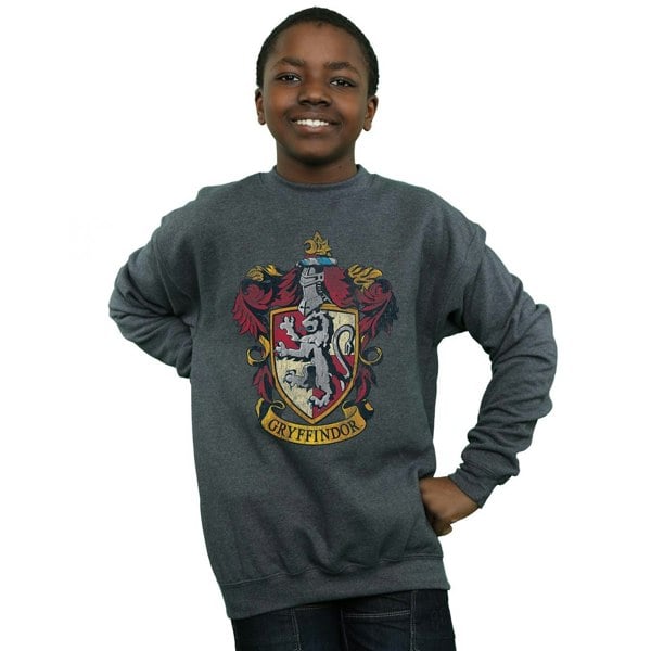 Harry Potter Boys Gryffindor Sweatshirt - Dark Heather