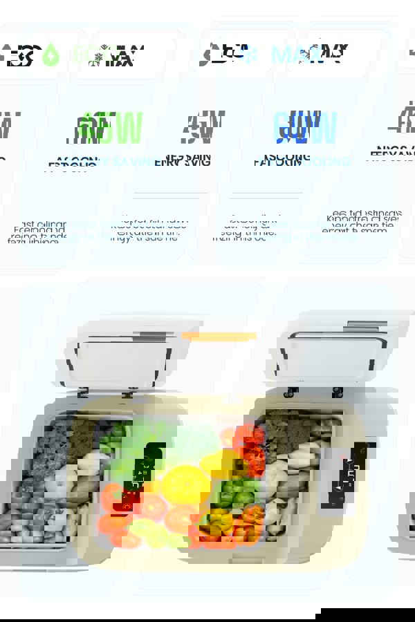 Living and Home 23L Car Fridge 45W Car Mini Fridge Car Refrigerator Portable Camping Fridge Freezer with Display Screen Green