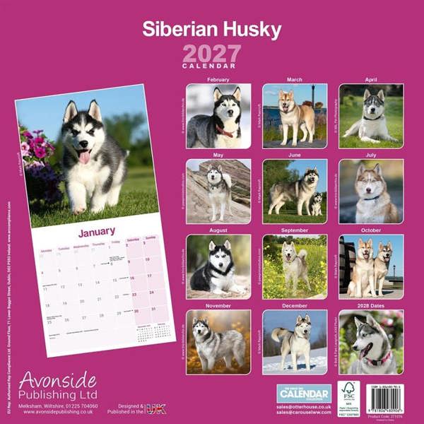 Siberian Husky Calendar 2027, Wall Calendars, Month To View, Dogs, Gift