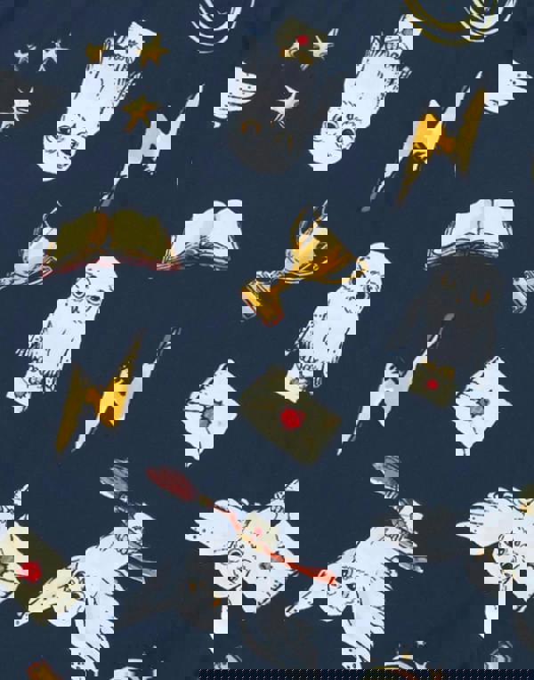 Harry Potter Girls Blue Hedwig 1 Piece Swimming Costume