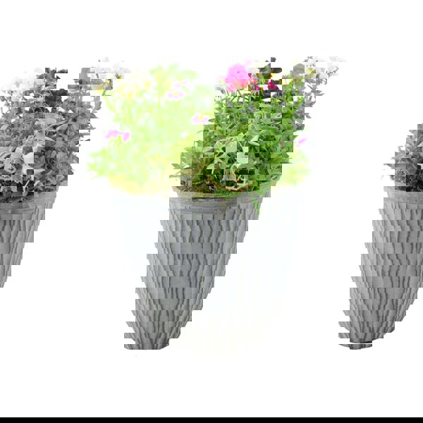 Vibrant Seasonal Planted Container – 26cm Decorative Outdoor Planter with Seasonal Flowers Plants By Post