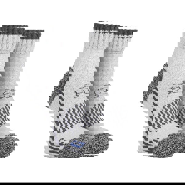 t4option1_1