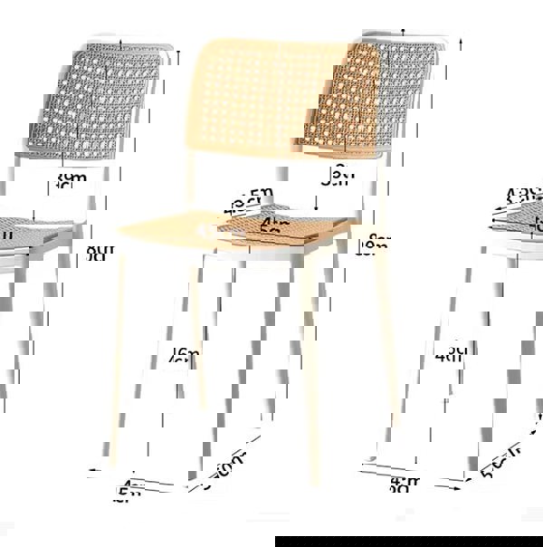 Ann Rattan Style Dining Chair, Plastic-Weilai Concept-Weilai Concept