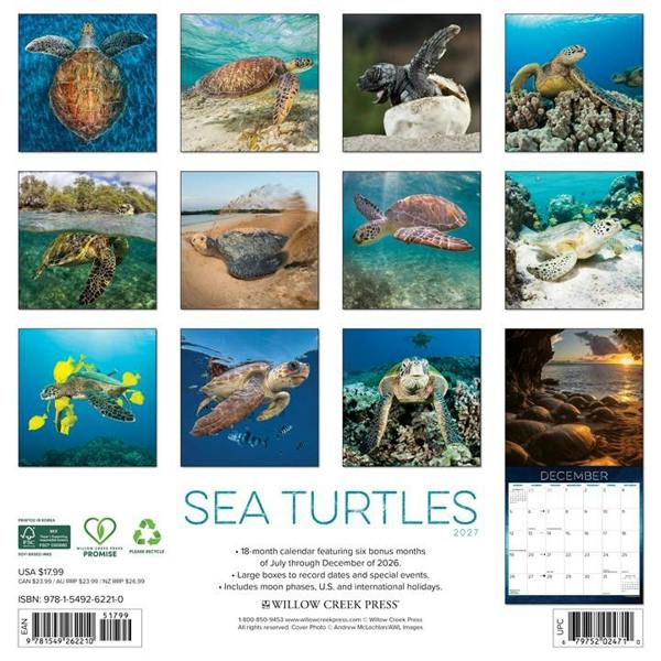 Sea Turtles Calendar 2027, Wall Calendars, Month To View, Animals, Gift
