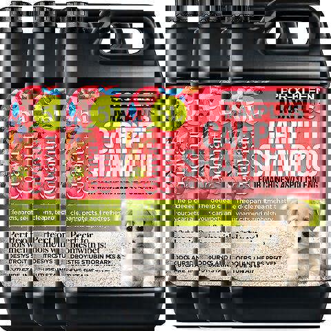 ProKleen Pro-Kleen MAXPLUS Carpet Shampoo Guava And Coconut 15L