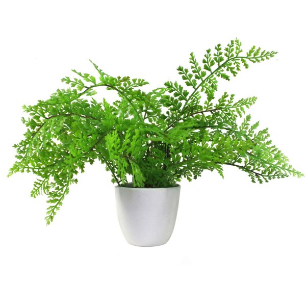 Leaf Pack of 3 x 30cm Artificial Ferns - Southern Wood - Lady and Royal - Potted