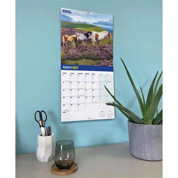 RSPCA, British Horses & Ponies Calendar 2027, Wall Calendars, Month To View, Animals, Gift