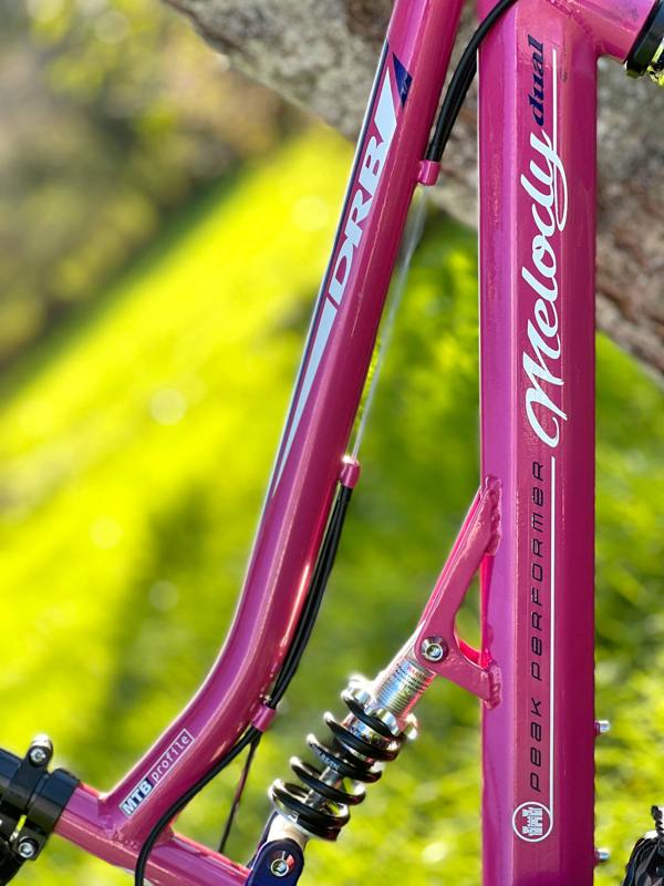 Dallingridge Melody 20" Girls Full Suspension Mountain Bike - Pink/Blue