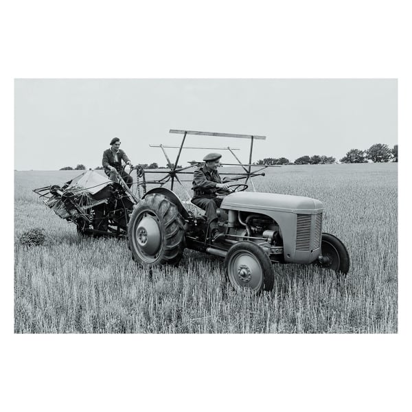 Ferguson TE20 Tractor and Binder Canvas Picture Print, Circa 1947 Black and White, 60 x 40 cm, Stretched Canvas on Wooden Frame