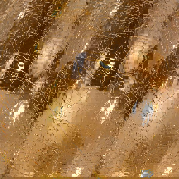 Samuel Alexander 20cm Battery Operated Light up Robin Crackle Glass Ball with 15 Warm White LEDs