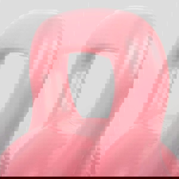 Phoenix Fitness Pink Kettlebell 10KG