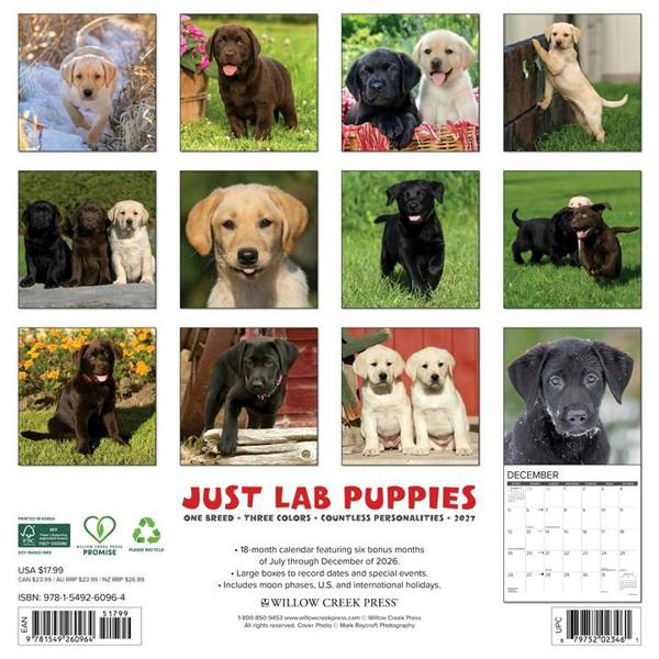 Lab Puppies Calendar 2027, Wall Calendars, Month To View, Dogs, Gift
