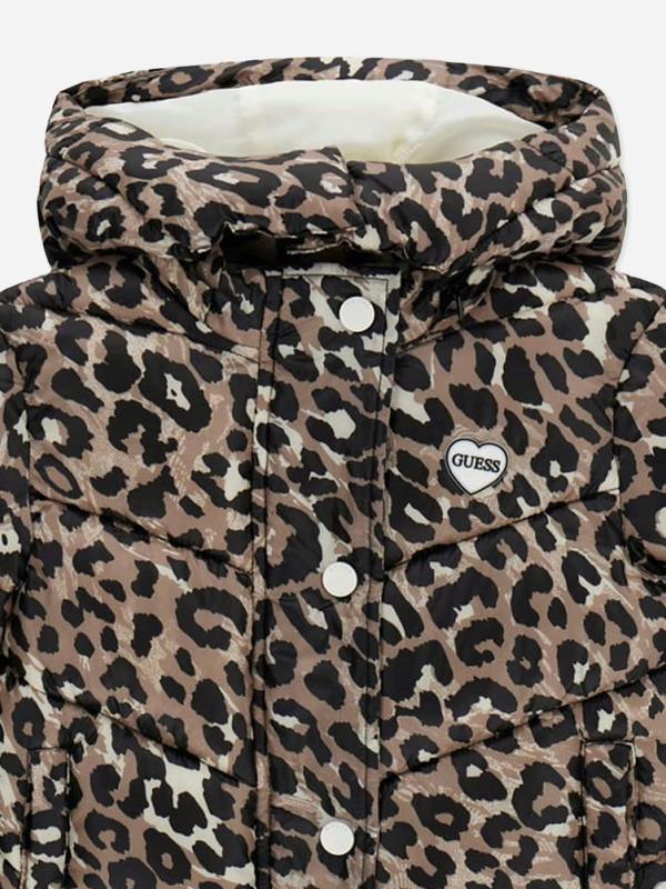 GUEA6056_BROWN_3