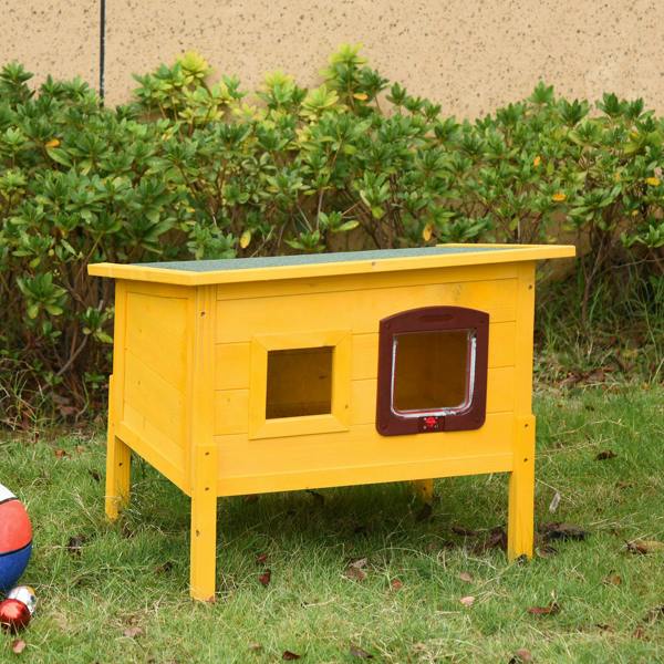 Cat House