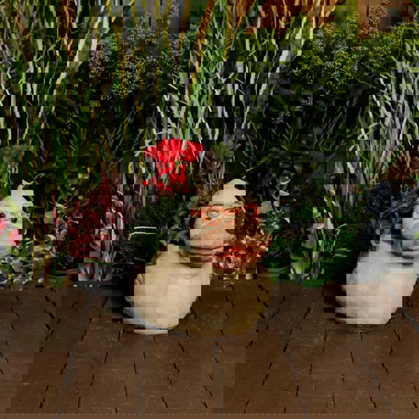 Whimsical Stone Cast Rubber Duck Planter Pot