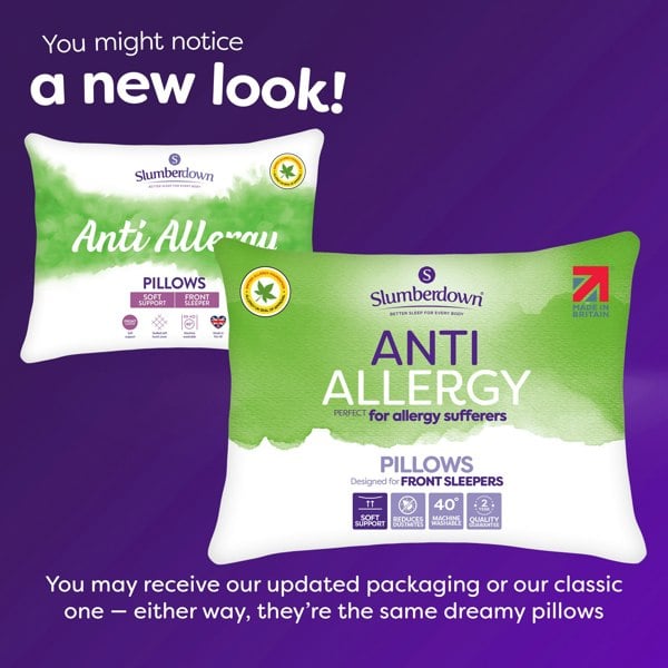 Anti Allergy Soft Support Pillow