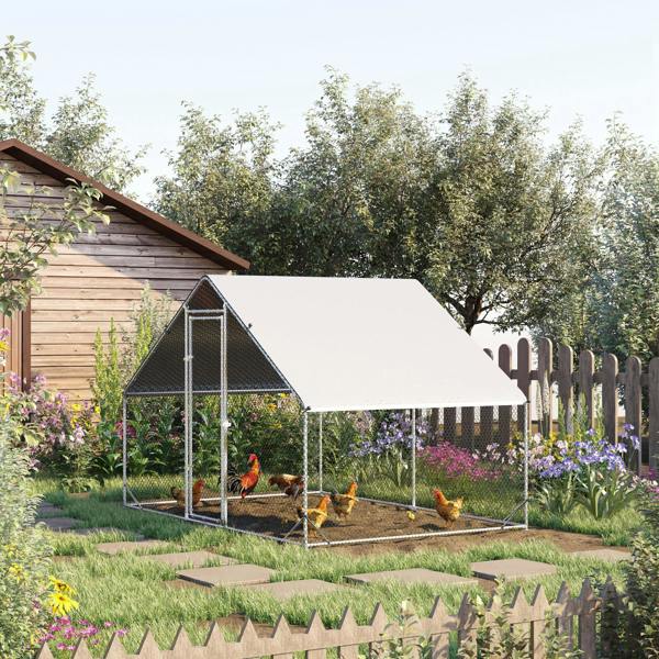 Chicken Coop
