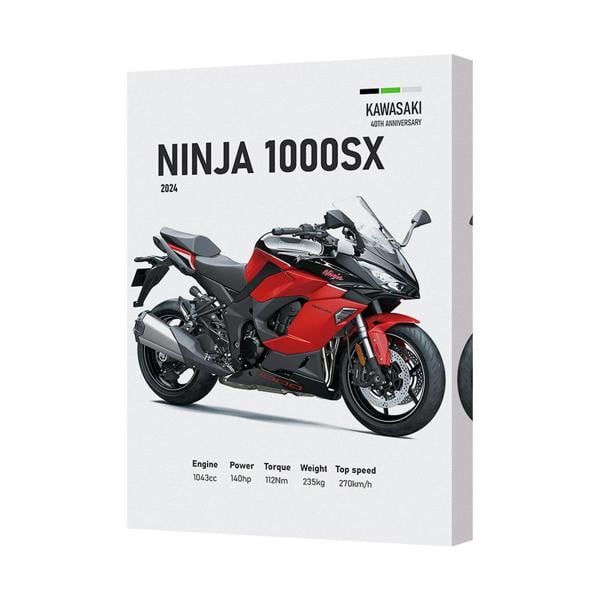 Benjamin Tate Design Kawasaki Ninja 1000SX Canvas Wall Art Print With Deep Wooden Frame