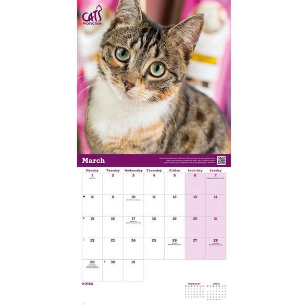 Cats Protection Calendar 2027, Wall Calendars, Month To View, Cats, Gift