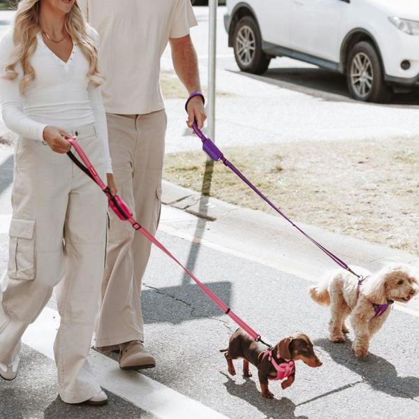 EzyDog Essential Zero Shock Dog Lead in Pink